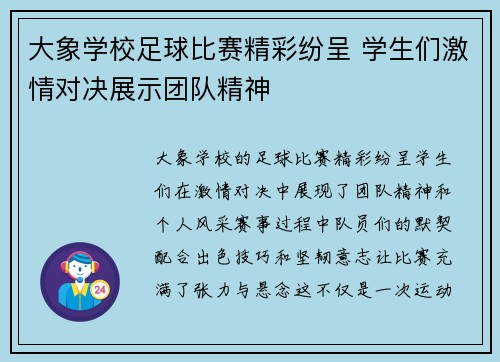 大象学校足球比赛精彩纷呈 学生们激情对决展示团队精神