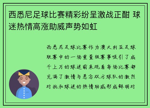 西悉尼足球比赛精彩纷呈激战正酣 球迷热情高涨助威声势如虹
