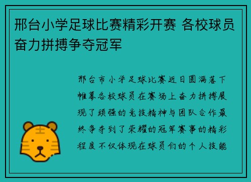 邢台小学足球比赛精彩开赛 各校球员奋力拼搏争夺冠军
