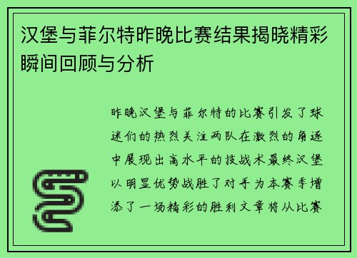 汉堡与菲尔特昨晚比赛结果揭晓精彩瞬间回顾与分析