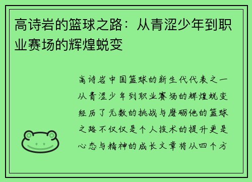 高诗岩的篮球之路：从青涩少年到职业赛场的辉煌蜕变